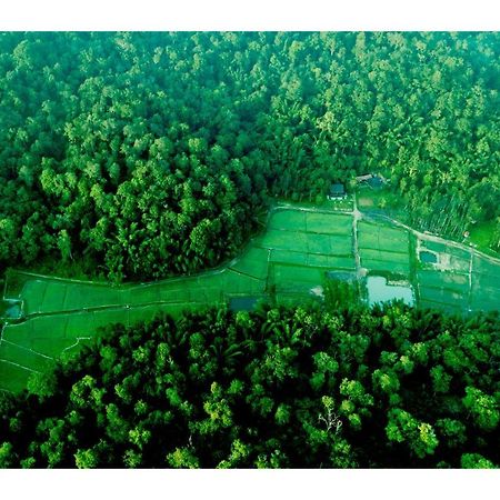 Vayal Veedu - Luxury Farm Villas By The Woods Muthanga Exterior foto