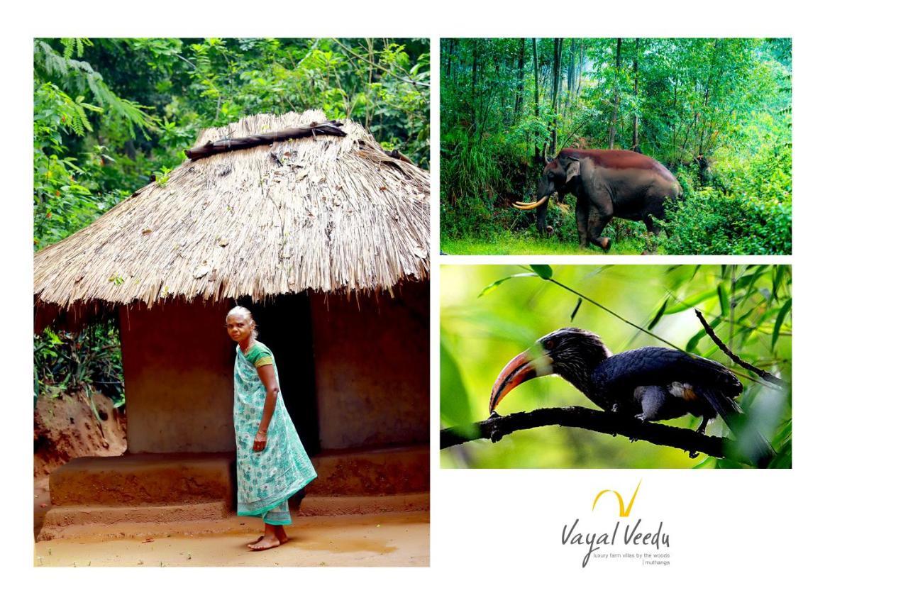 Vayal Veedu - Luxury Farm Villas By The Woods Muthanga Exterior foto
